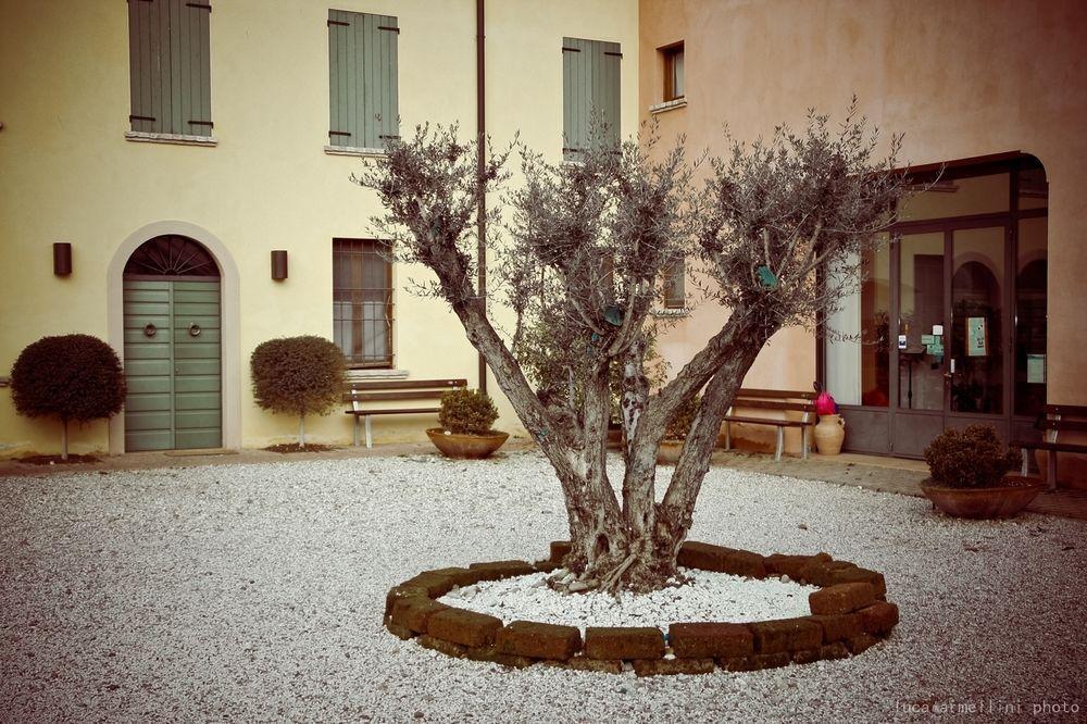 Agriturismo Cascina Boschi Διαμέρισμα Volta Mantovana Εξωτερικό φωτογραφία
